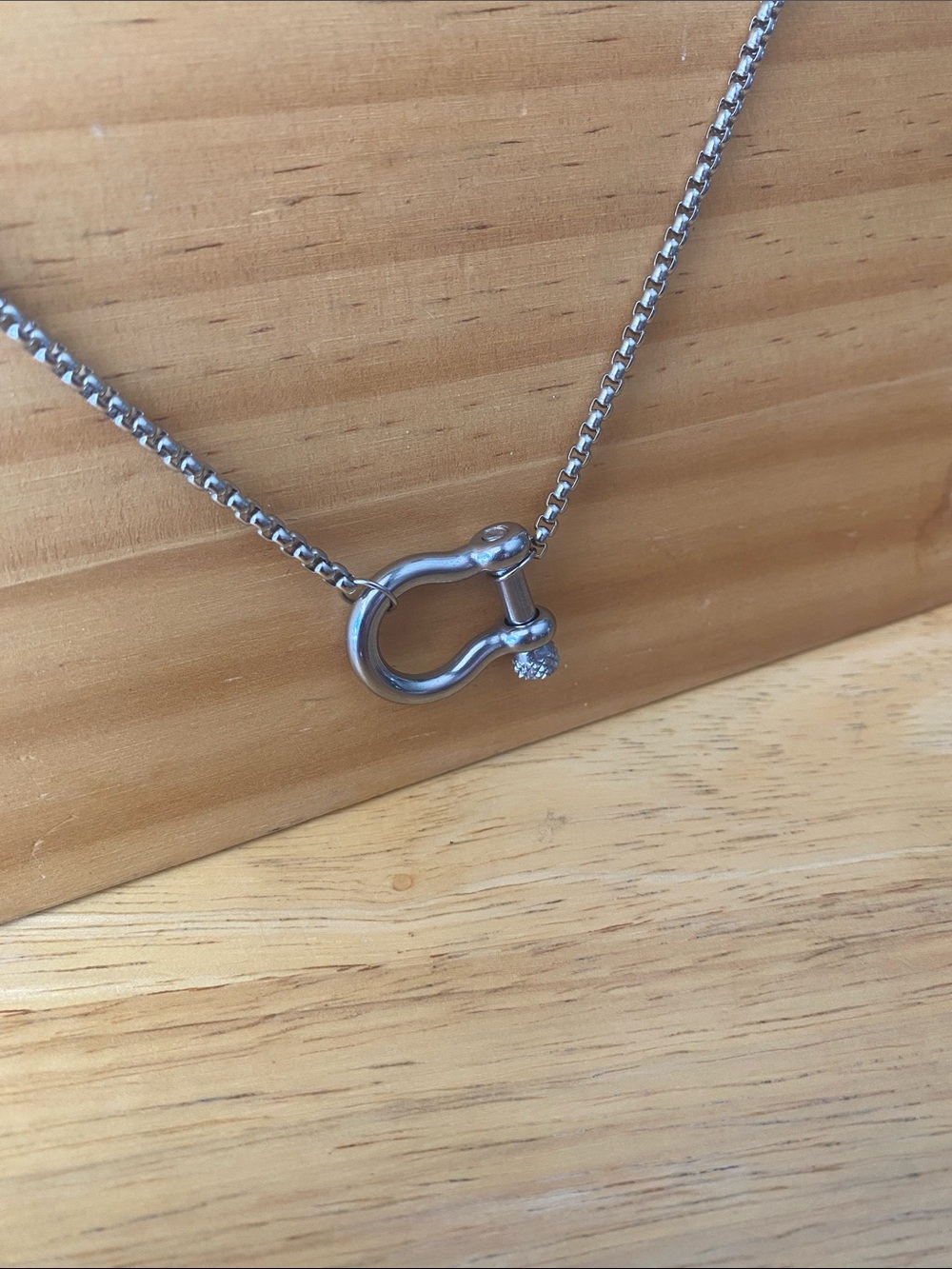 NWOT Carabiner Necklace - Picture 8 of 8